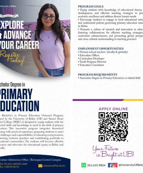 Primary-ed-flyer