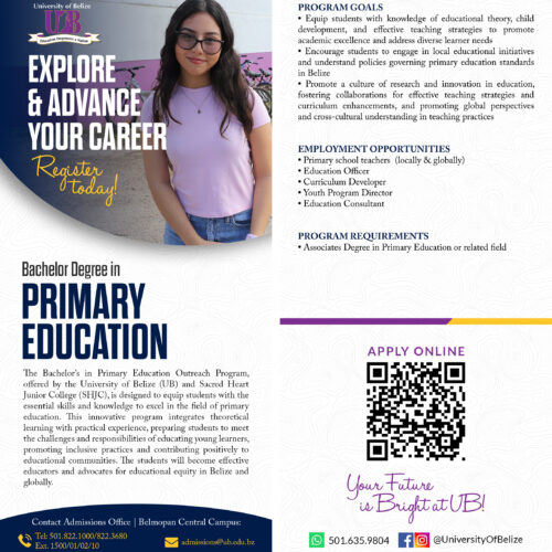 Primary-ed-flyer