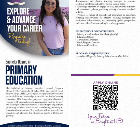 Primary-ed-flyer