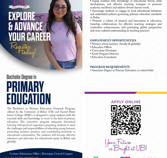 Primary-ed-flyer